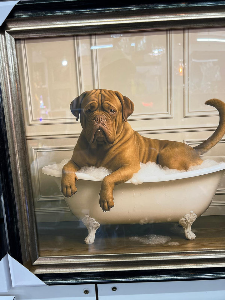Black & Gold framed Bordeaux, French Mastiff picture