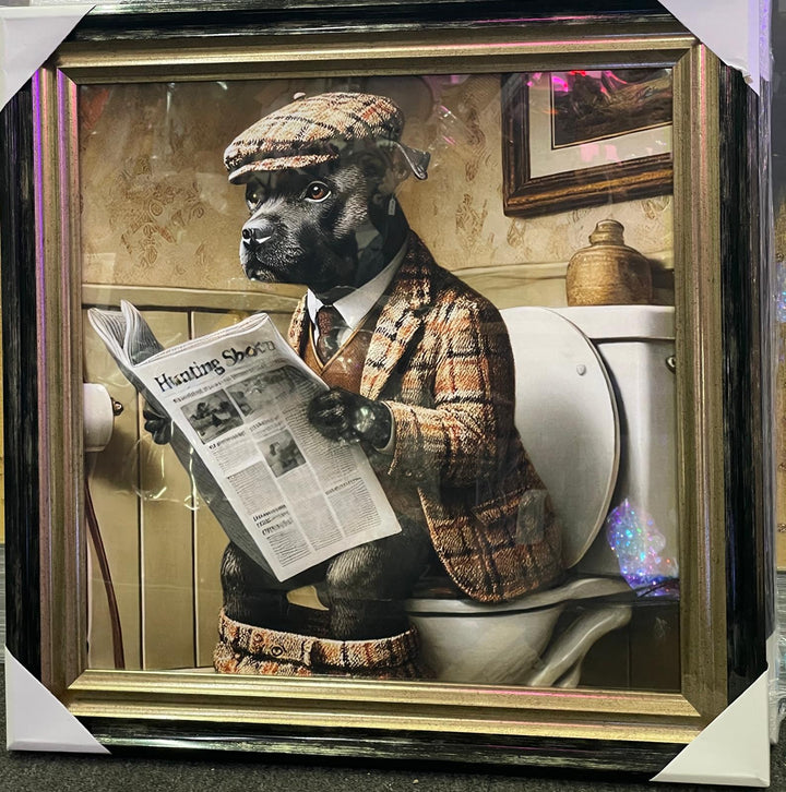 Black Gold step framed Staffy dog checked suit on toilet newspaper picture