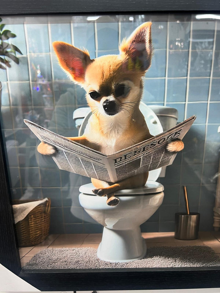 Black framed Chihuahua on toilet newspaper picture