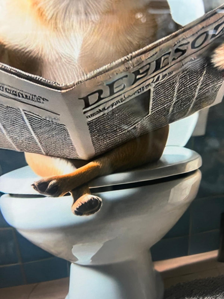 Black & gold framed Chihuahua on toilet newspaper quirky picture
