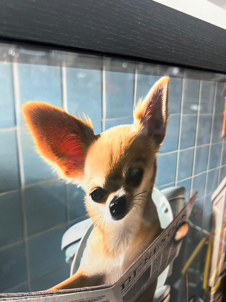 Black & gold framed Chihuahua on toilet newspaper quirky picture