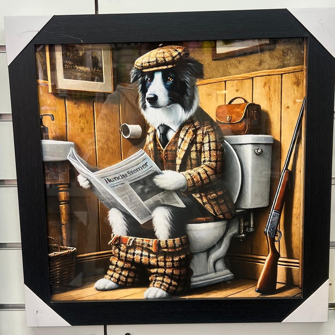 Black framed Collie Dog on toilet newspaper picture