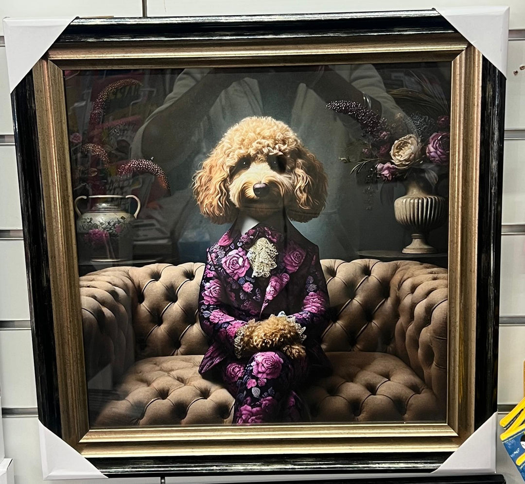 Black Gold framed Cockapoo in a floral suit picture quirky wall art home decor