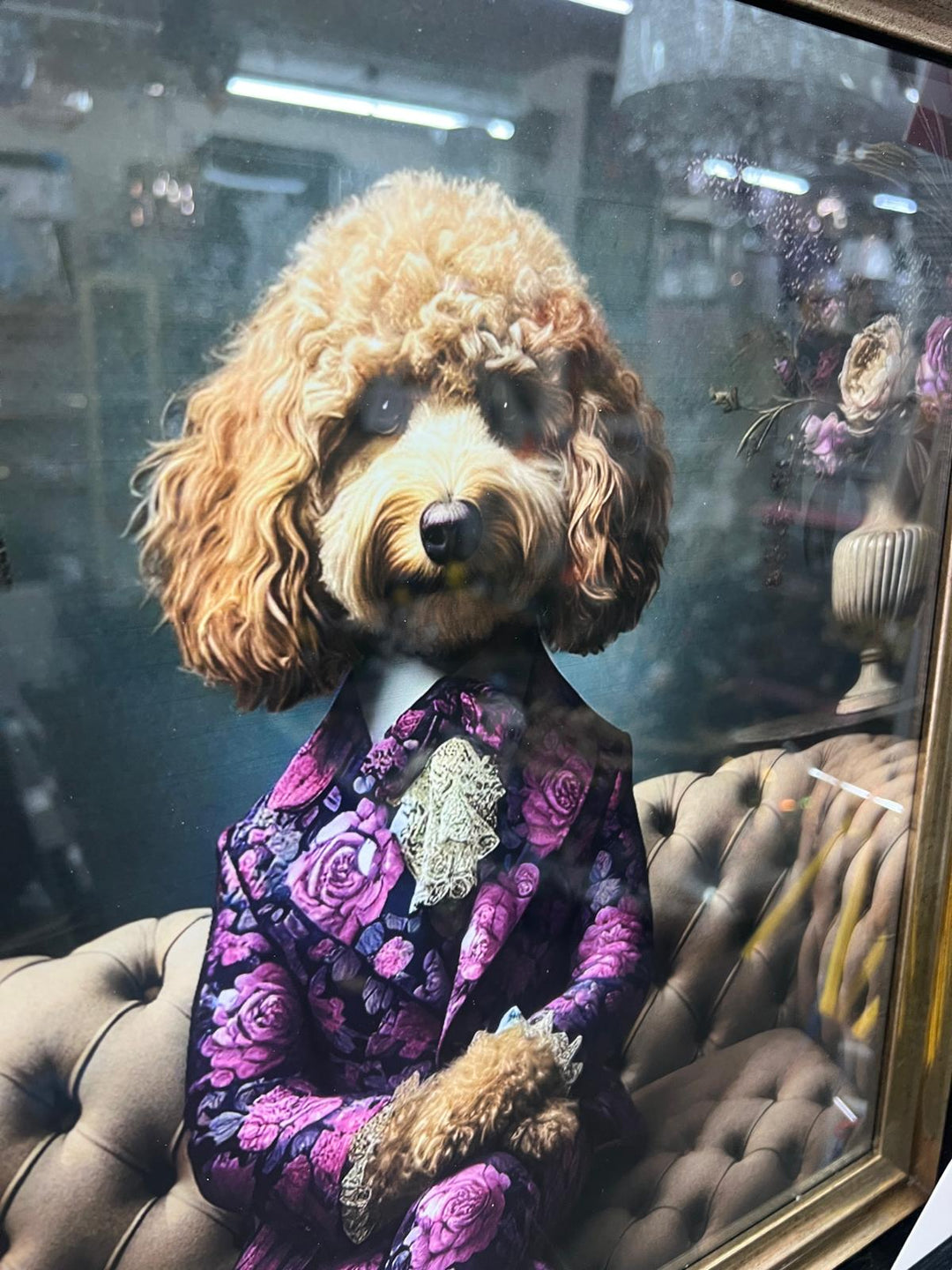 Black Gold framed Cockapoo in a floral suit picture quirky wall art home decor