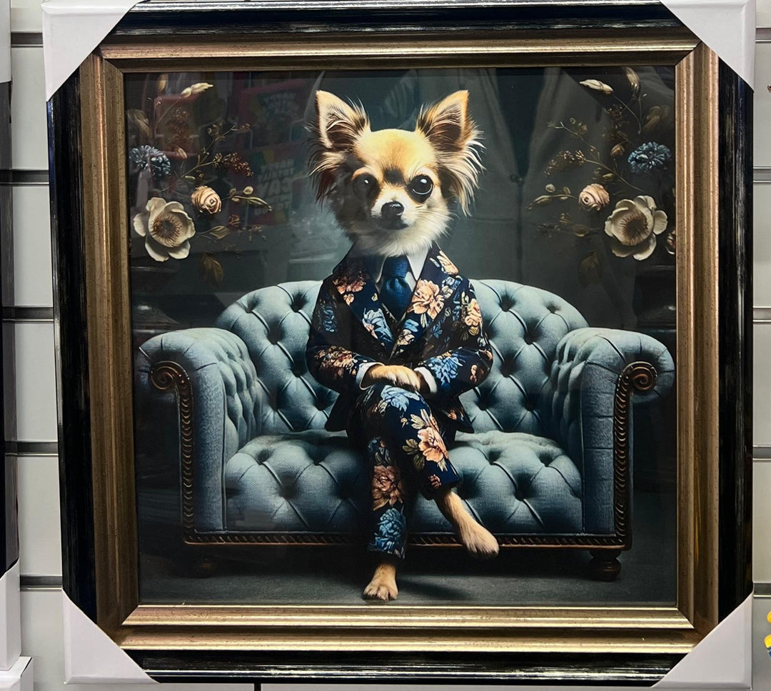 Black Gold framed Chihuahua in a floral suit picture