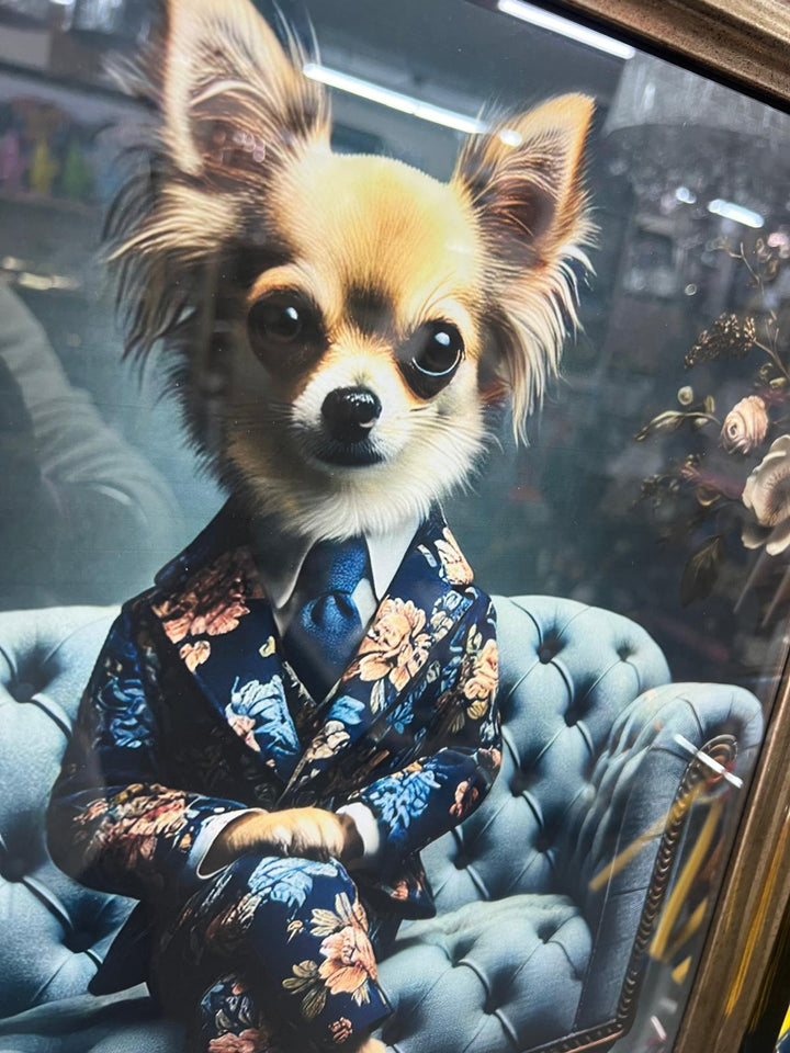 Black Gold framed Chihuahua in a floral suit picture