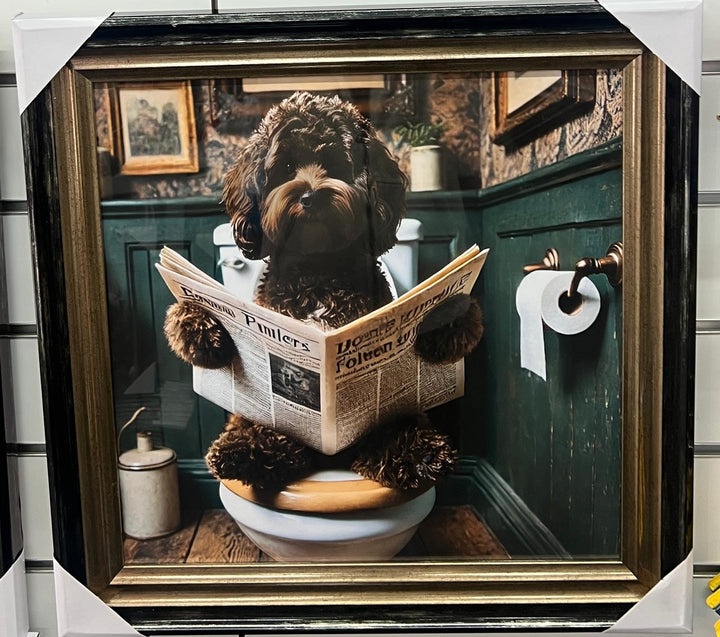 Black & gold step frame Chocolate Cocka Poo dog on toilet newspaper picture