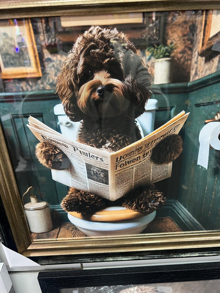 Black & gold step frame Chocolate Cocka Poo dog on toilet newspaper picture