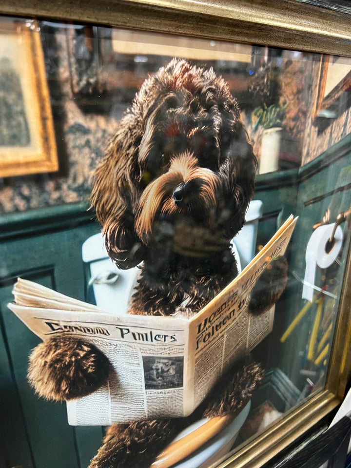 Black & gold step frame Chocolate Cocka Poo dog on toilet newspaper picture
