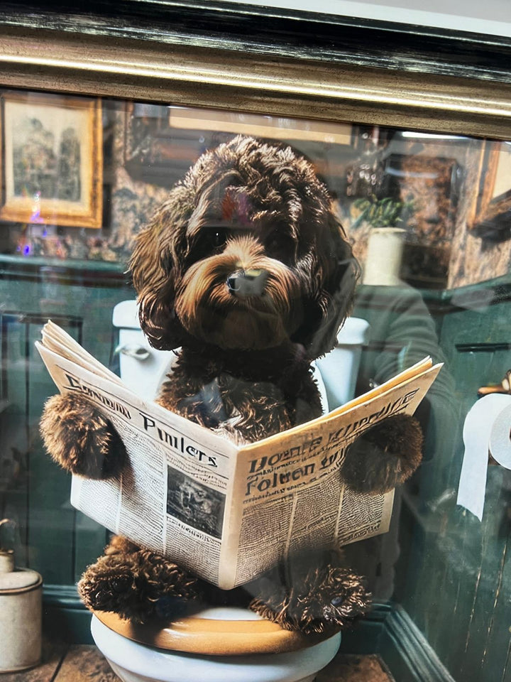 Black & gold step frame Chocolate Cocka Poo dog on toilet newspaper picture