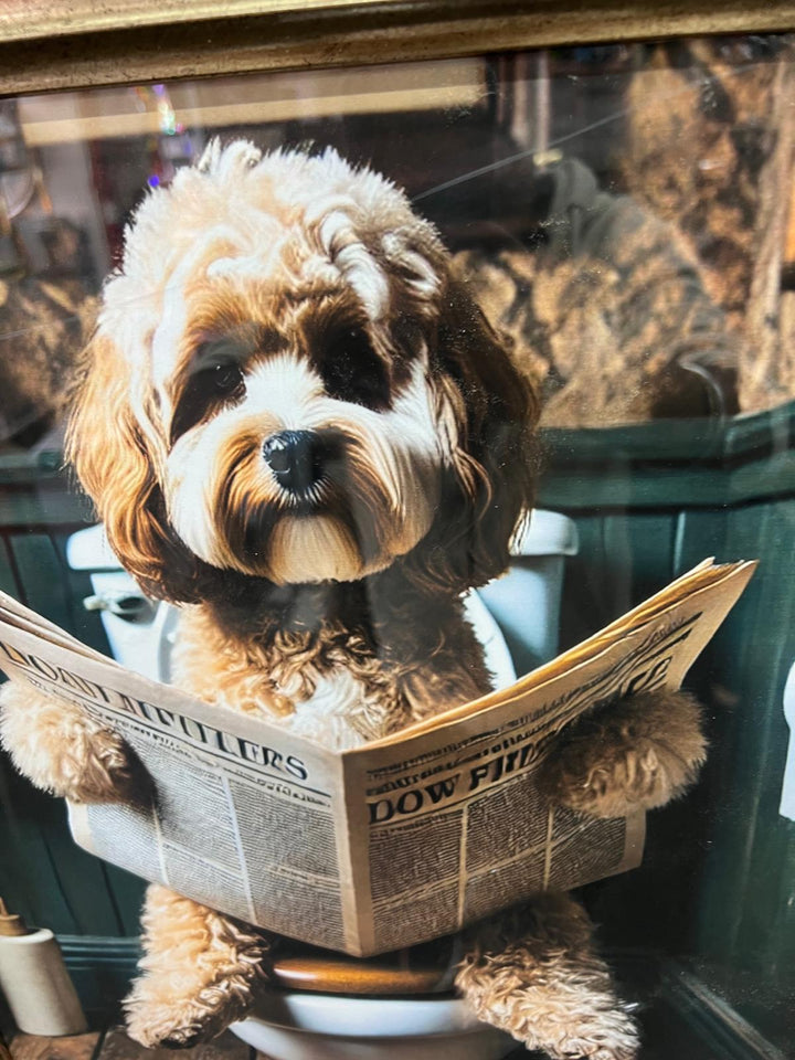 Black and Black & gold step frame Cocka Poo dog on toilet seat newspaper picture