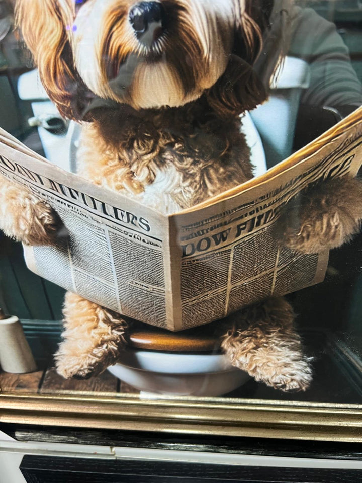 Black and Black & gold step frame Cocka Poo dog on toilet seat newspaper picture