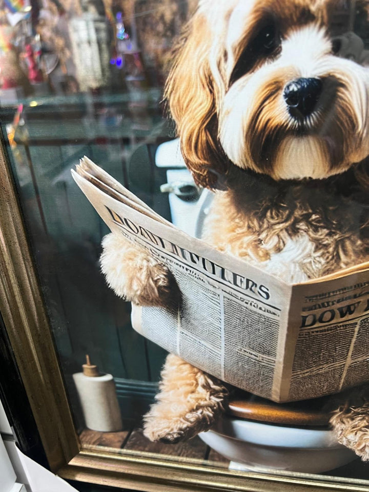 Black and Black & gold step frame Cocka Poo dog on toilet seat newspaper picture