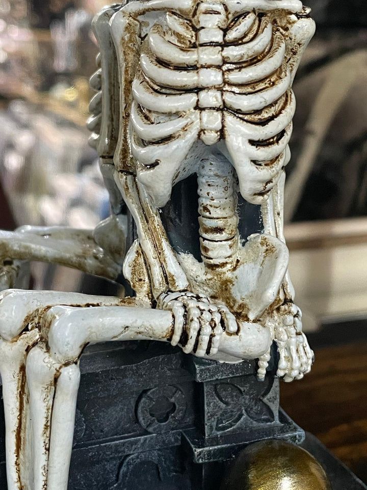 Skeleton in shackels, mirror & dog quirky ornament resin