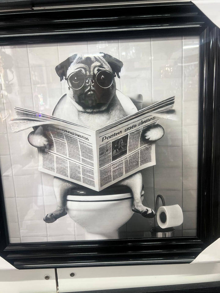 Black framed Pug Dog on toilet newspaper picture quirky wall art