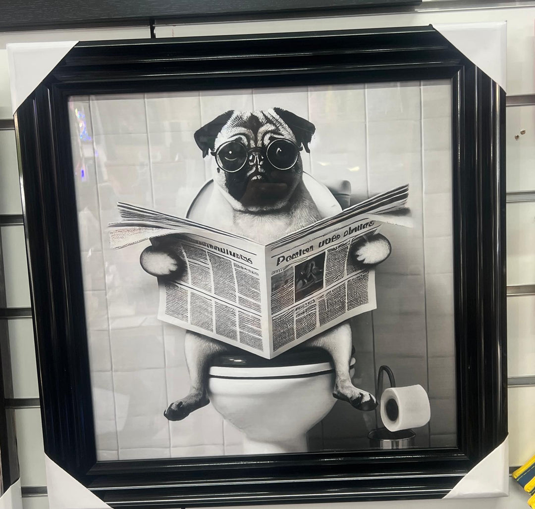 Black framed Pug Dog on toilet newspaper picture quirky wall art