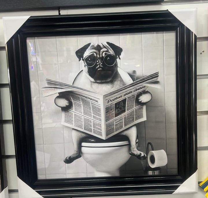 Black framed Pug Dog on toilet newspaper picture quirky wall art
