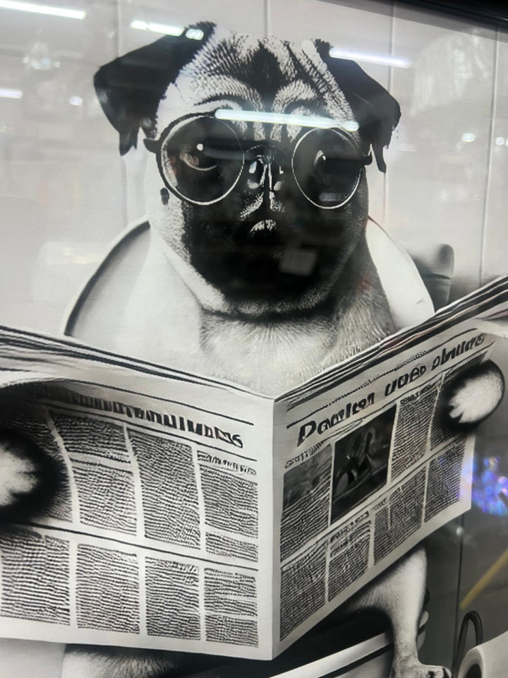 Black framed Pug Dog on toilet newspaper picture quirky wall art