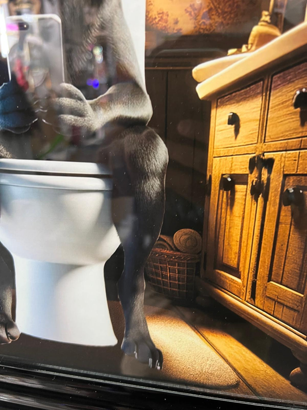 Framed Black step labrador dog picture with mobile on the toilet wall art decor