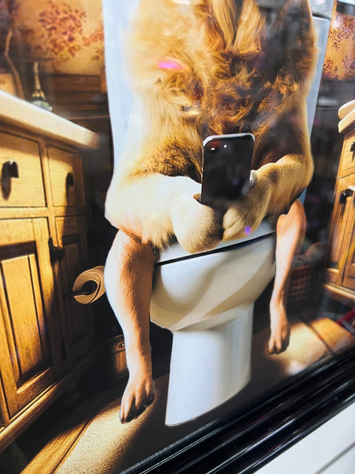 Framed Black step labrador dog picture with mobile on the toilet wall art decor