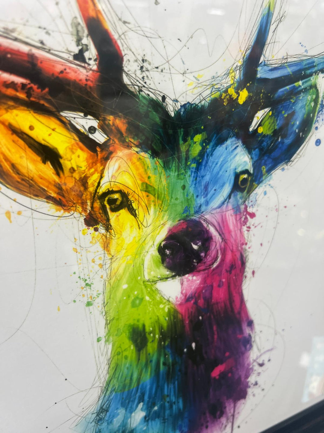 Black Frame step Stag face multi colour wall art picture