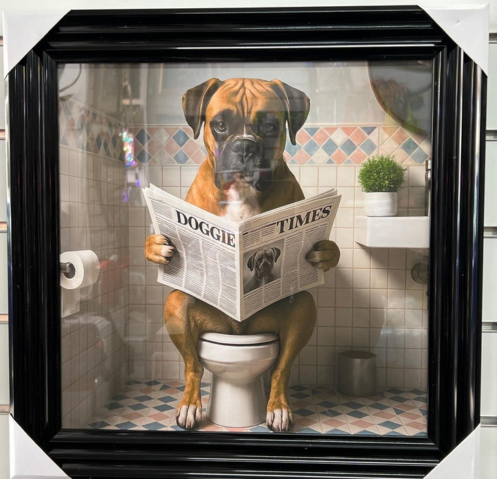 Framed Black & Gold boxer dog picture with newpaper on toilet