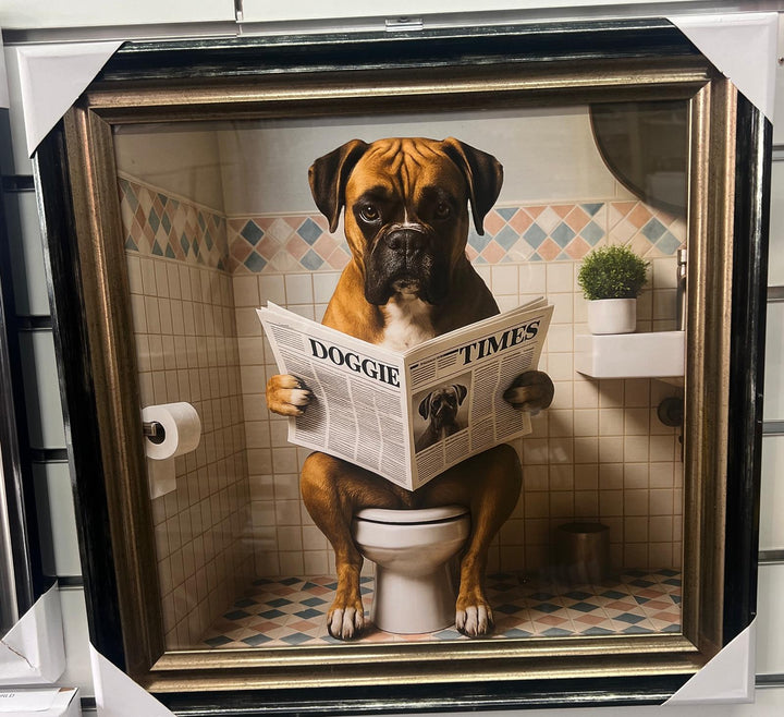 Framed Black & Gold boxer dog picture with newpaper on toilet