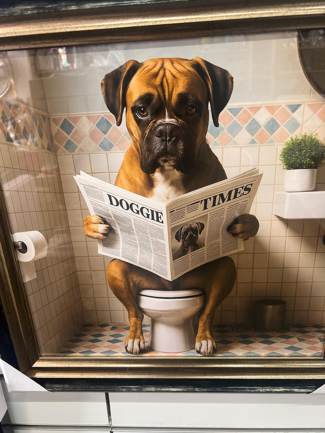 Framed Black & Gold boxer dog picture with newpaper on toilet