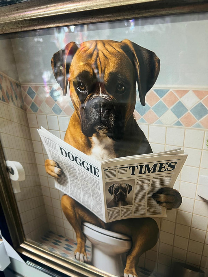 Framed Black & Gold boxer dog picture with newpaper on toilet