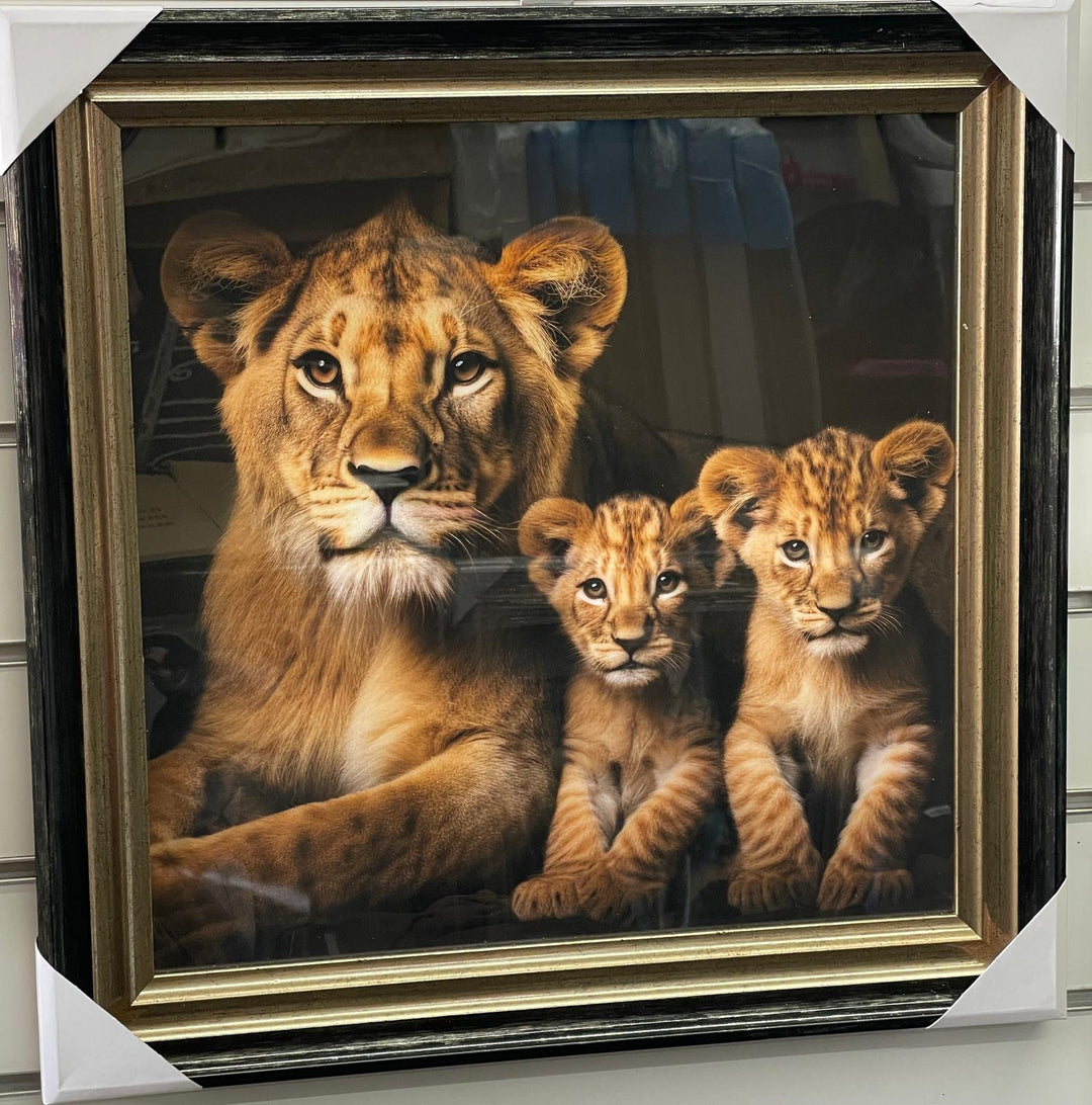 Lion, lioness with 2 cubs black & gold framed step majestic animal picture