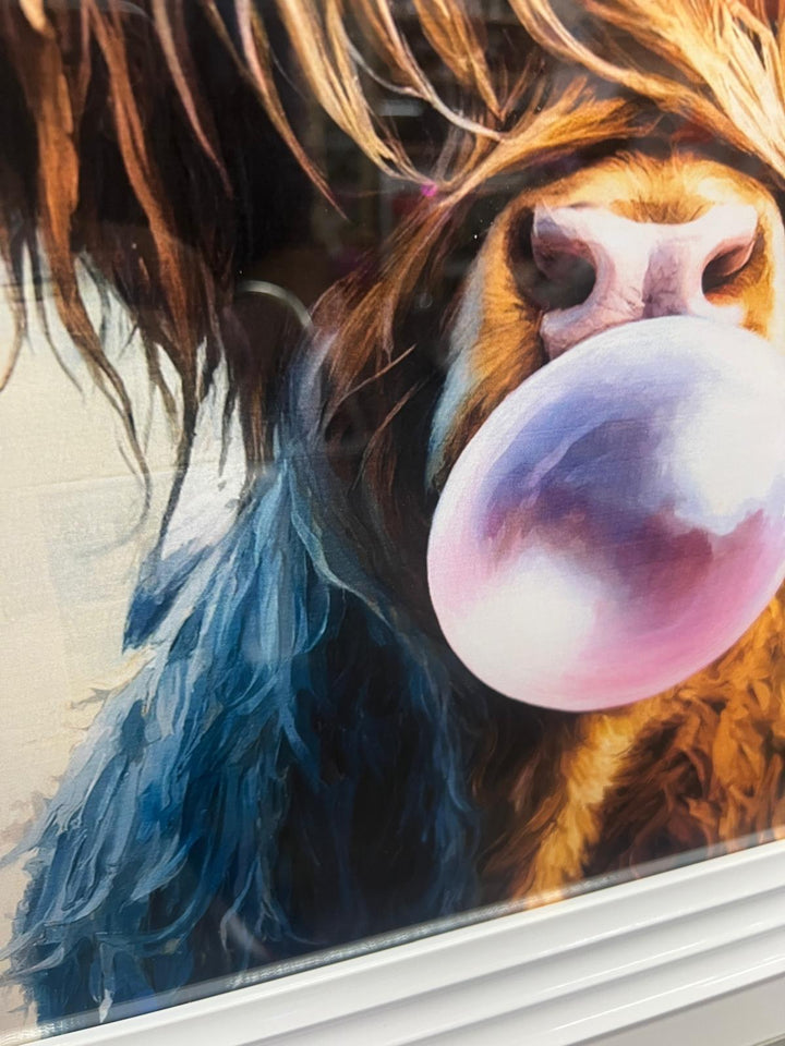 Highland cow bubble/multi colour quirky picture white frame animal wall art