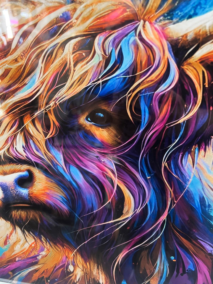Highland cow bubble/multi colour quirky picture white frame animal wall art
