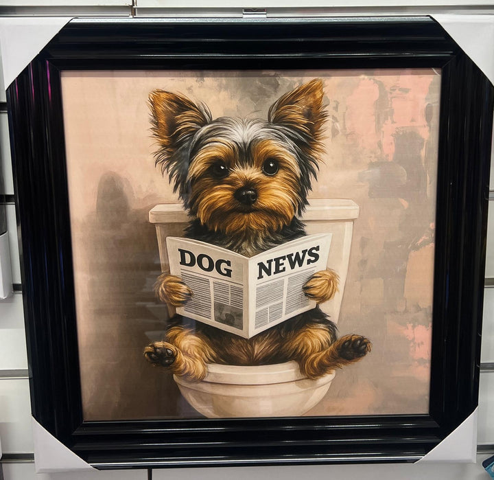 Yorkshire Terrier on Toilet Reading Newspaper Quirky Wall Art in Black & Gold Step Frame
