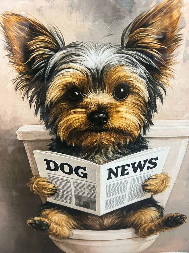 Yorkshire Terrier on Toilet Reading Newspaper Quirky Wall Art in Black & Gold Step Frame