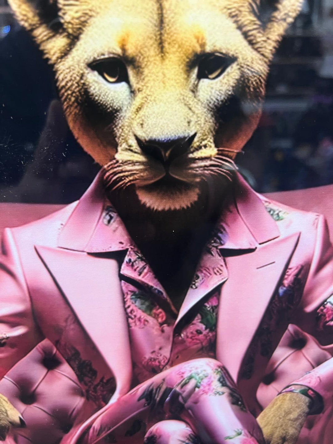 Lion Blue/Lioness Pink Floral Suit Quirky Wall Art Black Framed Animal picture