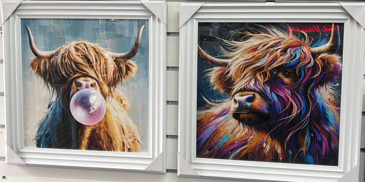 Highland cow bubble/multi colour quirky picture white frame animal wall art
