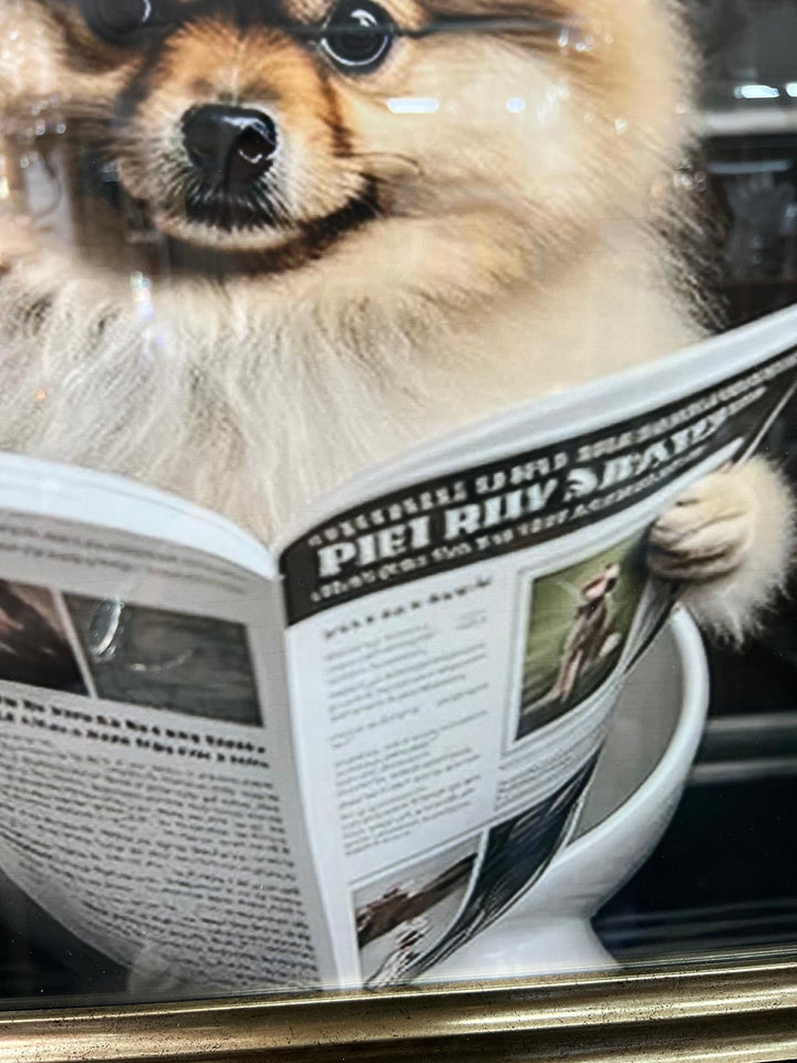 Pomeranian Dog Sitting on Toilet Reading Newspaper Black & Gold Frame quirky picture