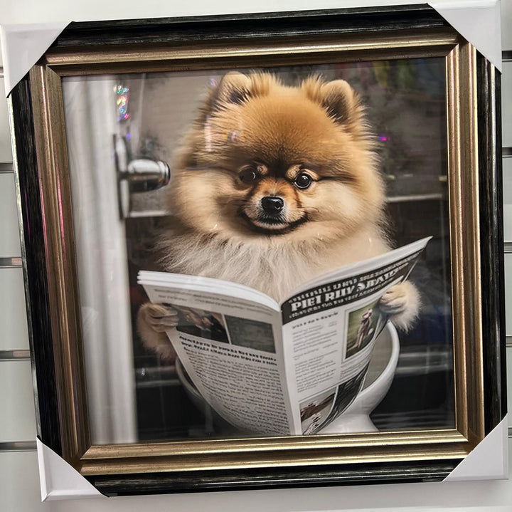 Pomeranian Dog Sitting on Toilet Reading Newspaper Black & Gold Frame quirky picture