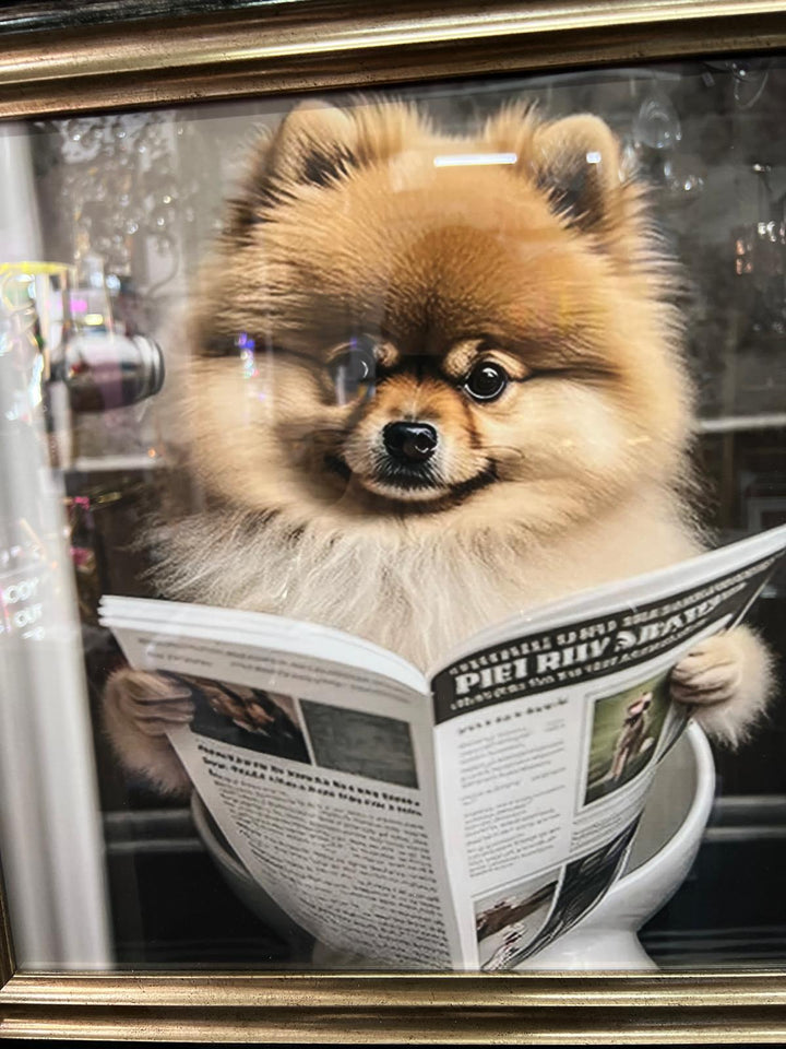 Pomeranian Dog Sitting on Toilet Reading Newspaper Black & Gold Frame quirky picture