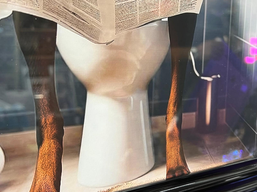 Black Framed Dobermann dog picture Newspaper on the toilet quirky wall art decor