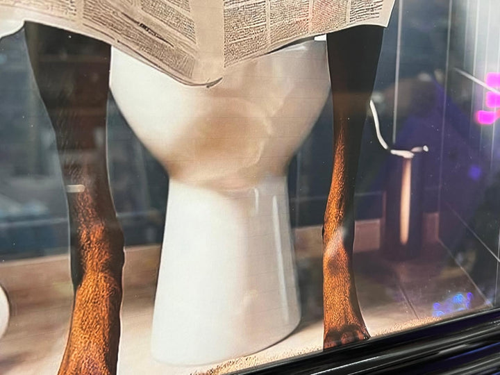 Black Framed Dobermann dog picture Newspaper on the toilet quirky wall art decor