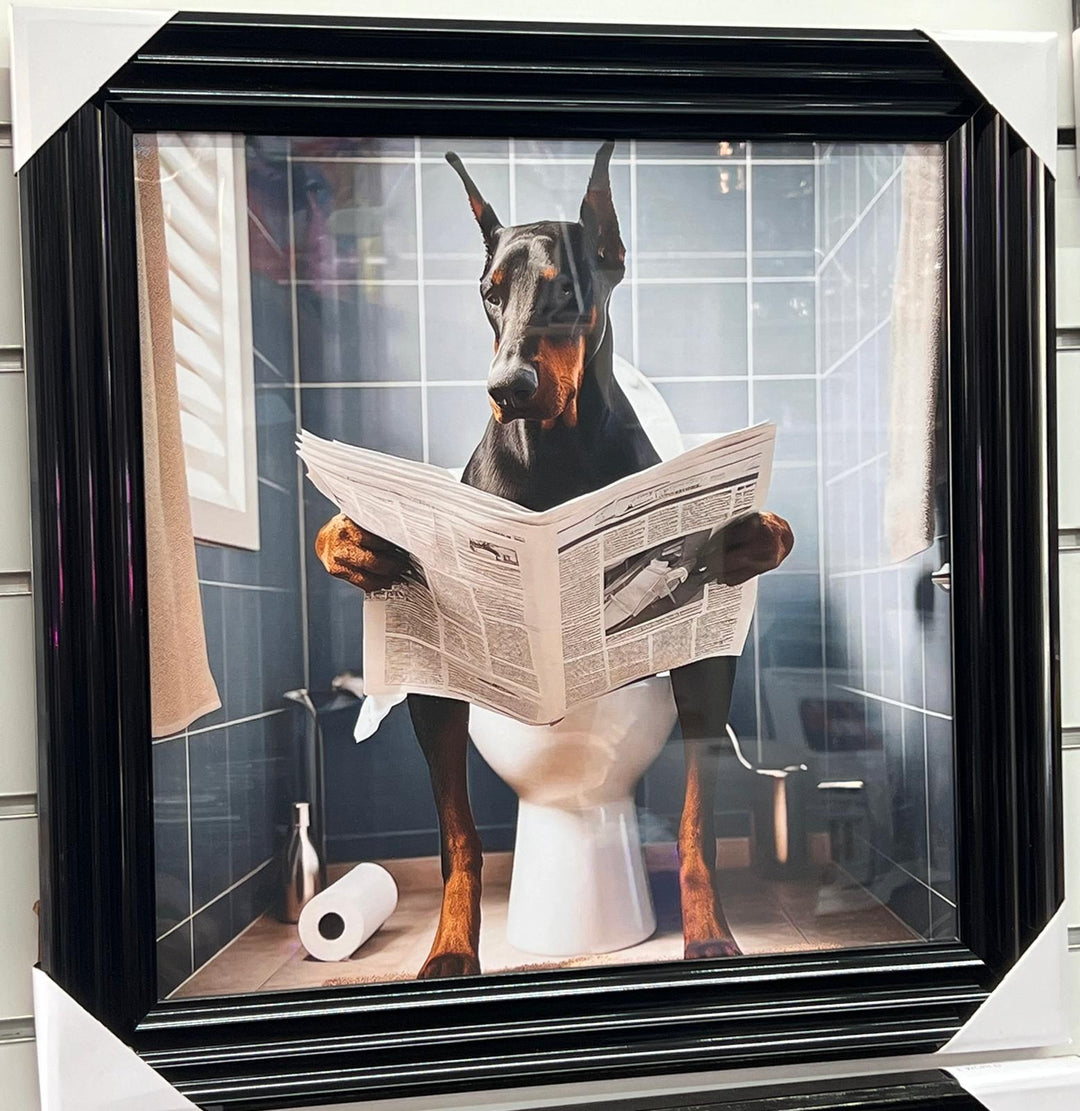 Black Framed Dobermann dog picture Newspaper on the toilet quirky wall art decor