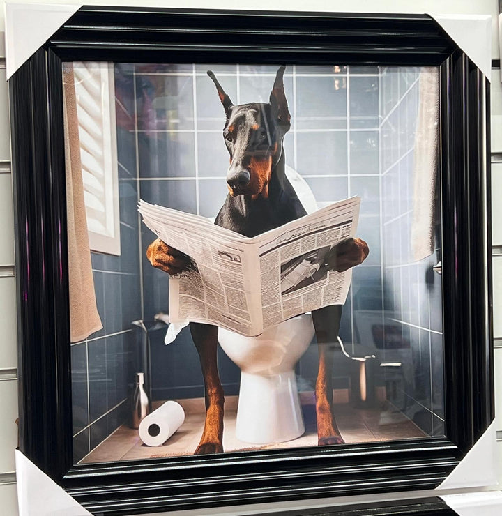 Black Framed Dobermann dog picture Newspaper on the toilet quirky wall art decor