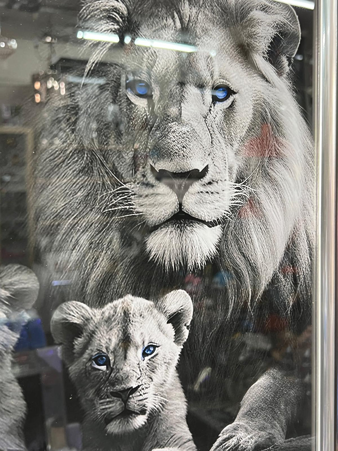 Lion with 2 cubs black & silver framed step majestic animal home decor
