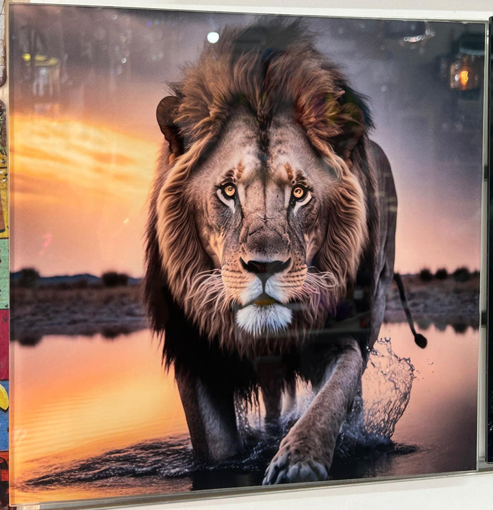 30CM Animals-Dogs, lion, Highland Cow & tiger Tempered Glass quirky Pictures