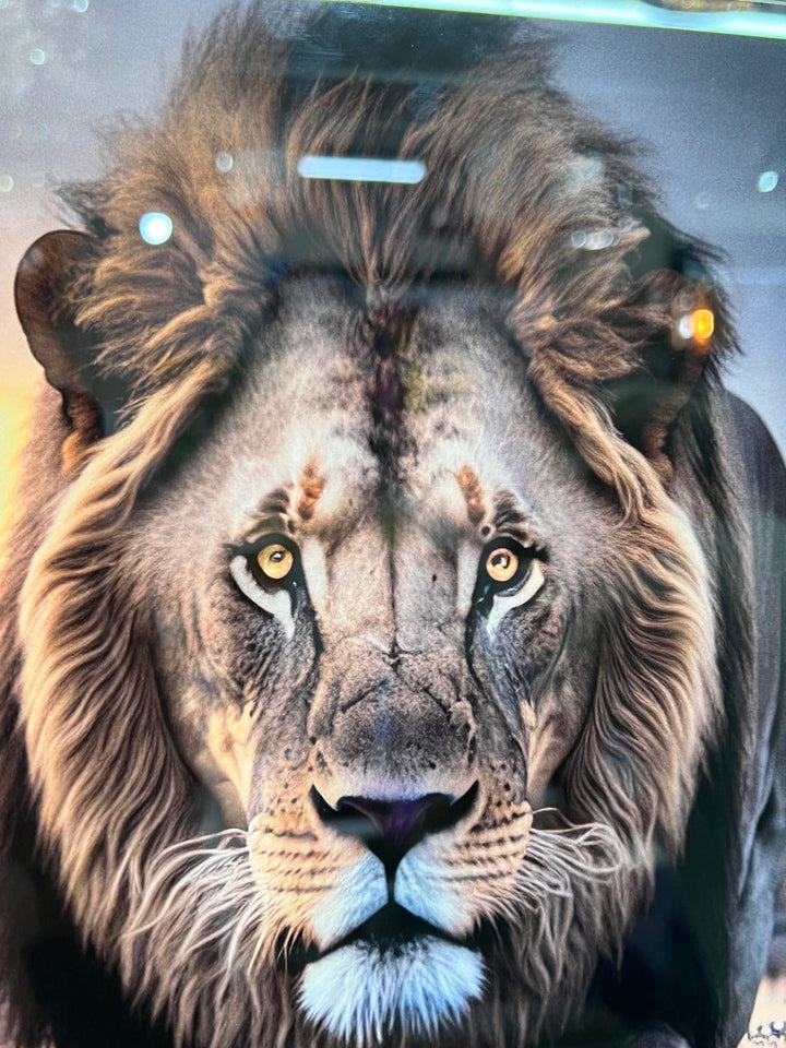 30CM Animals-Dogs, lion, Highland Cow & tiger Tempered Glass quirky Pictures