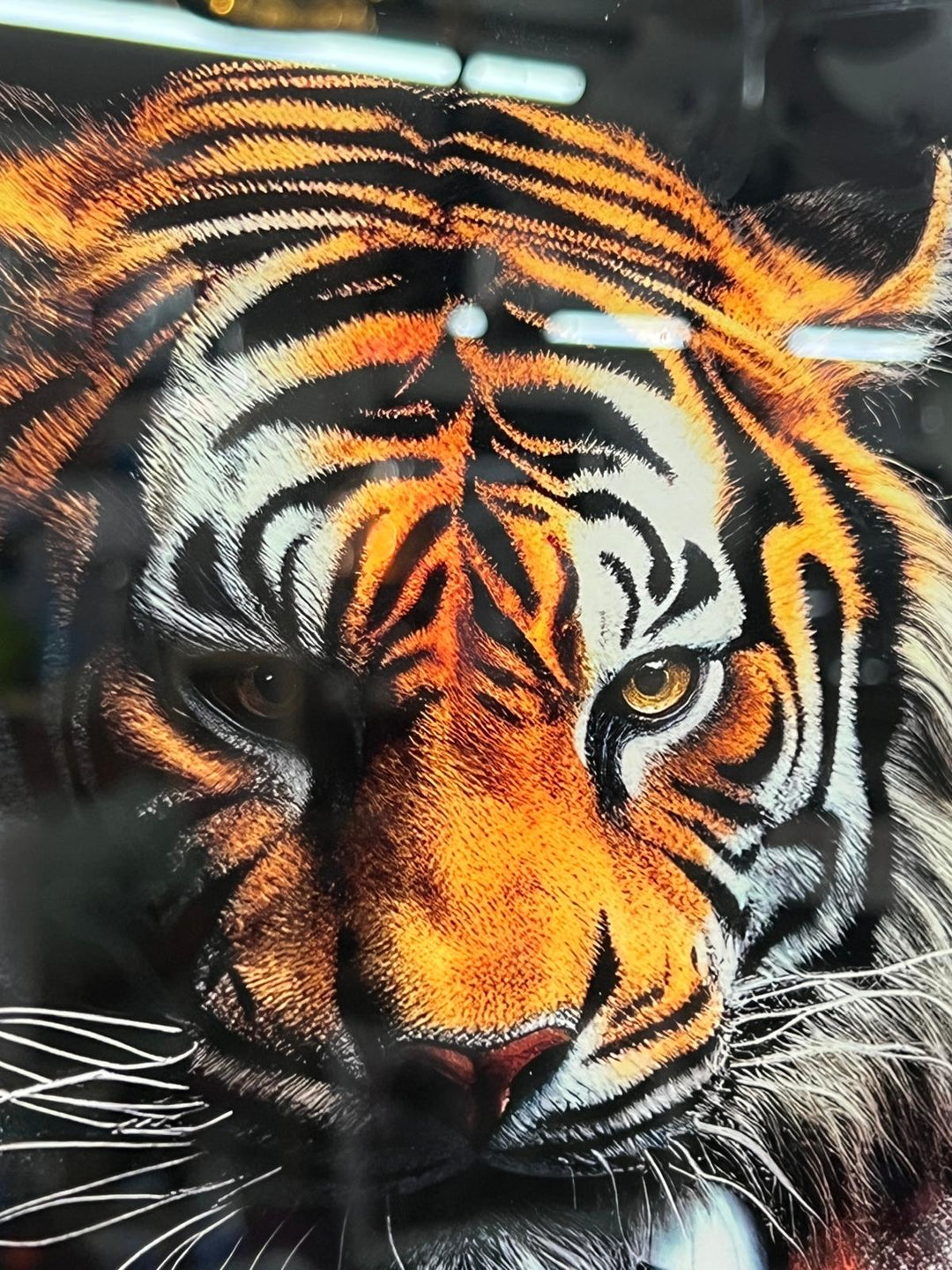 30CM Animals-Dogs, lion, Highland Cow & tiger Tempered Glass quirky Pictures