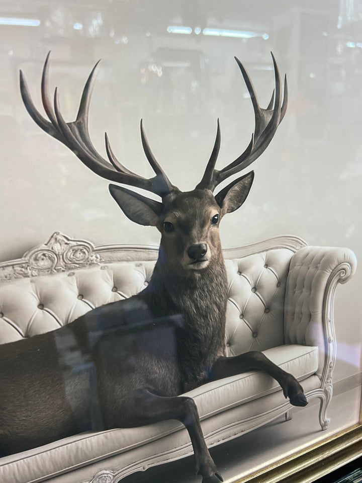 Animals Lounging on Vintage Couch Quirky Animal Wall Art Black and Gold Framed
