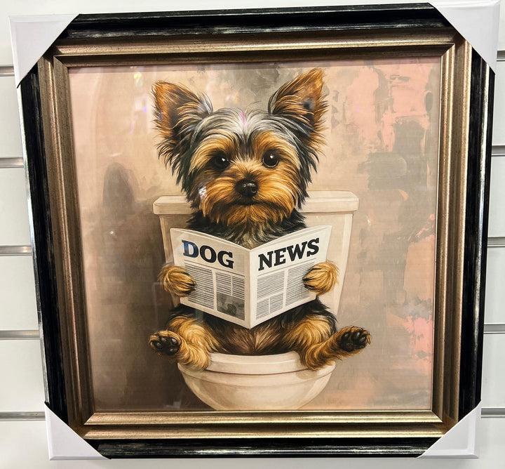 Yorkshire Terrier on Toilet Reading Newspaper Quirky Wall Art in Black & Gold Step Frame