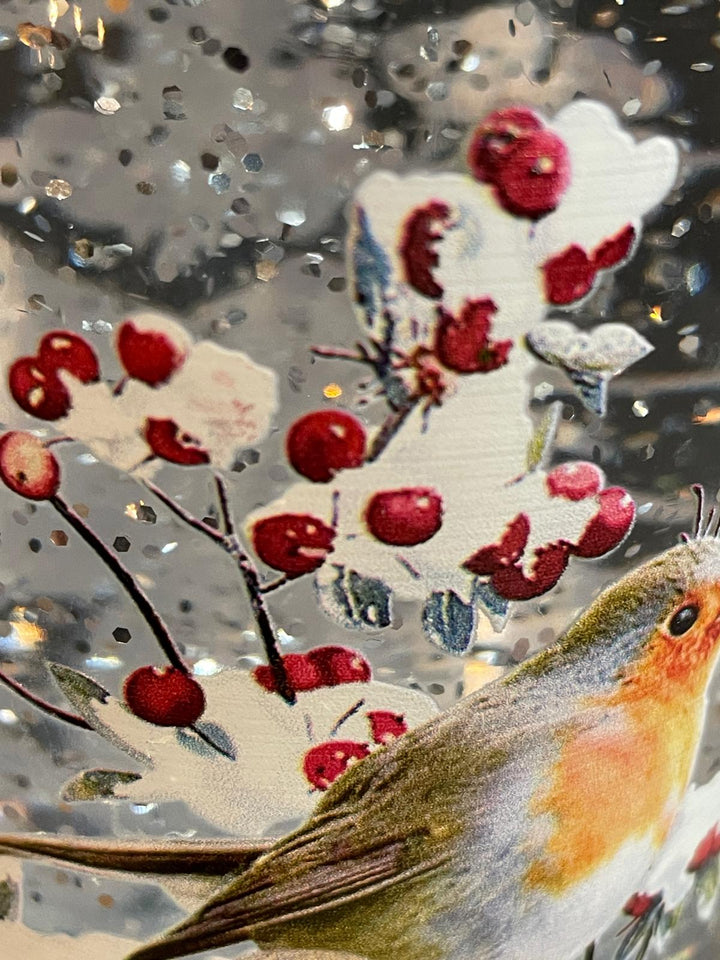 30CM Robin Bottle Spinner LED Lit Christmas Festive Robins